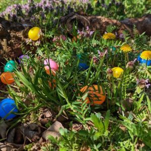 Easter Eggstravaganza at Carter Mountain