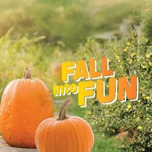 Chile's Orchard Fall Into Fun Festival