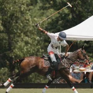 Polo at Roseland Farm in Crozet VA