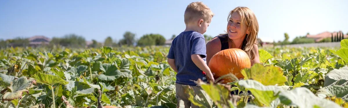 Best Pumpkin Patches in Crozet VA