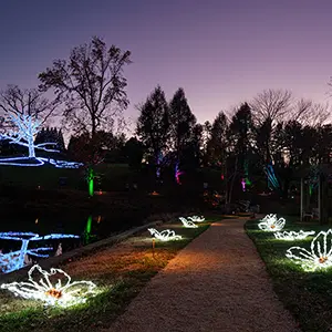 Winter Wander Holiday Light Display near Crozet