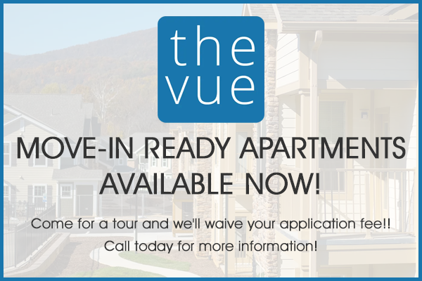 The Vue Specials - Winter 2026