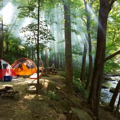Crabtree Falls Campground near Crozet VA