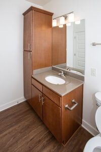 Crozet Apartment Bathroom