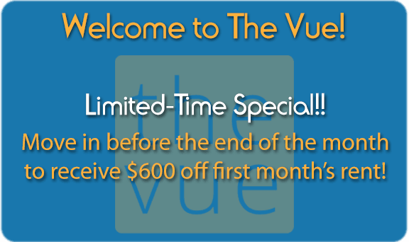 The Vue Limited Time Special