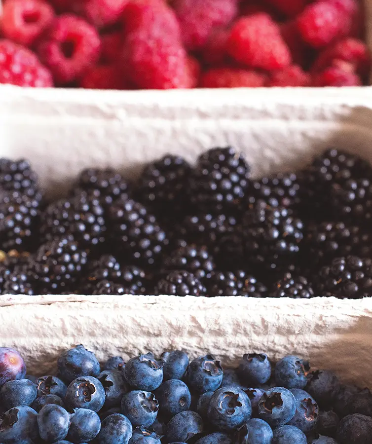Crozet Farmers Markets